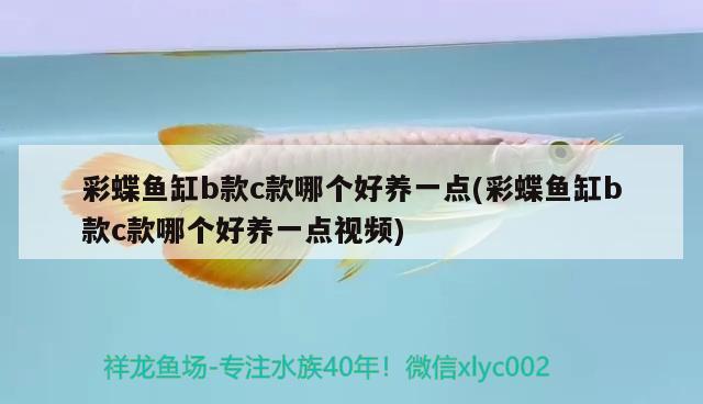 彩蝶魚缸b款c款哪個(gè)好養(yǎng)一點(diǎn)(彩蝶魚缸b款c款哪個(gè)好養(yǎng)一點(diǎn)視頻)