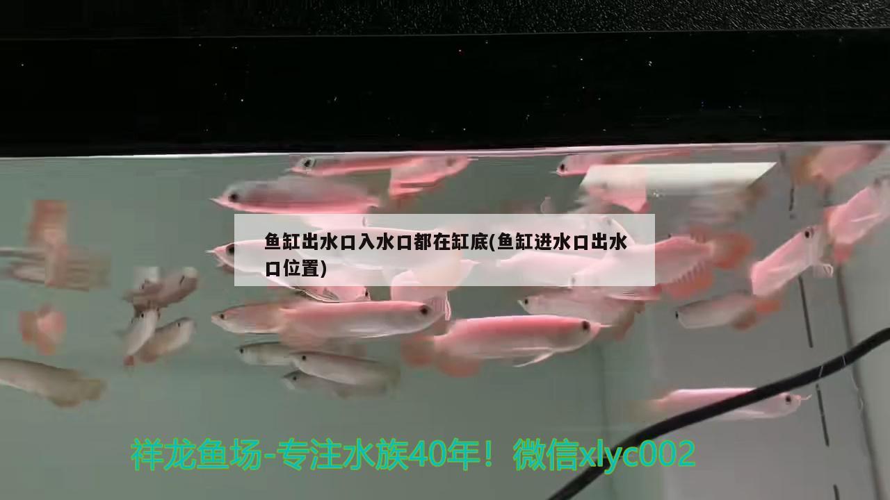 魚缸出水口入水口都在缸底(魚缸進水口出水口位置) 殺菌消毒設(shè)備