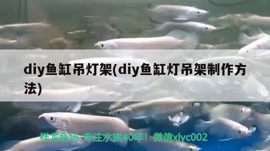 diy魚缸吊燈架(diy魚缸燈吊架制作方法)