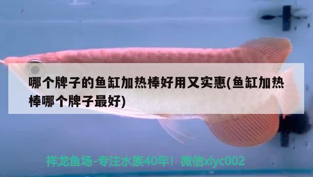 哪個牌子的魚缸加熱棒好用又實惠(魚缸加熱棒哪個牌子最好)