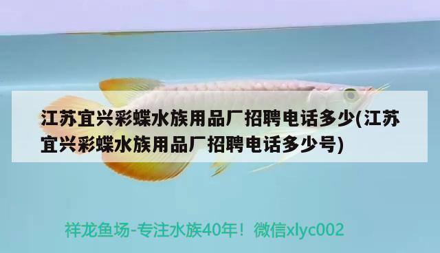 江蘇宜興彩蝶水族用品廠招聘電話多少(江蘇宜興彩蝶水族用品廠招聘電話多少號(hào)) 水族用品