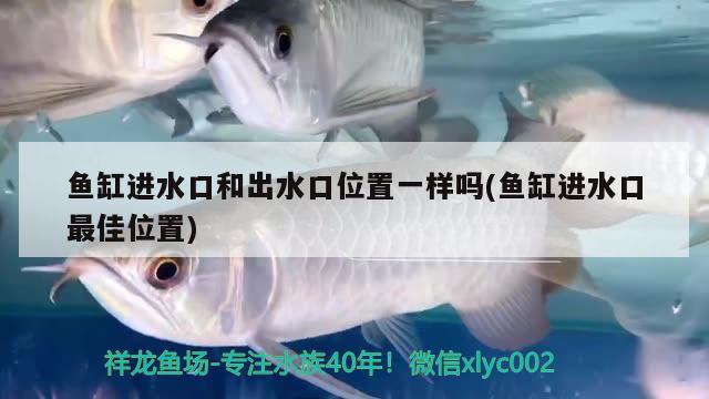 魚(yú)缸進(jìn)水口和出水口位置一樣嗎(魚(yú)缸進(jìn)水口最佳位置) 銀古魚(yú)苗 第2張