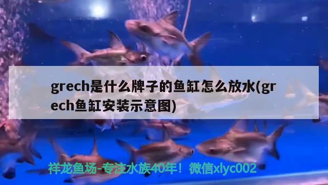 伊寶魚缸安裝說明(魚缸說明書) 青龍魚