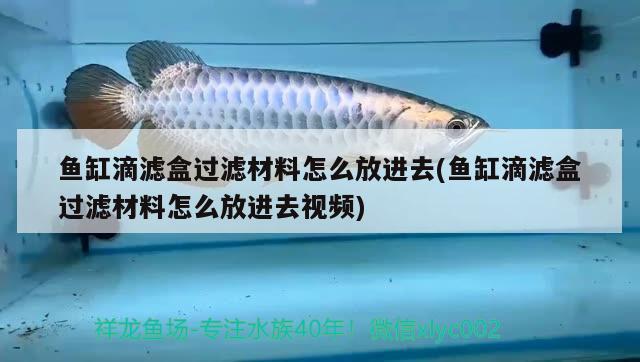 魚(yú)缸滴濾盒過(guò)濾材料怎么放進(jìn)去(魚(yú)缸滴濾盒過(guò)濾材料怎么放進(jìn)去視頻) 祥龍水族濾材/器材