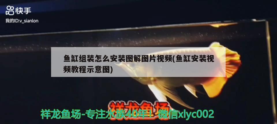 魚缸如何安裝水泵圖解(魚缸水泵安裝說明) 魚缸水泵