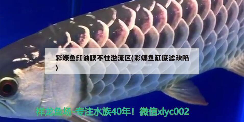 播放金龍魚的圖片大全(播放金龍魚的圖片大全高清) 黑云魚