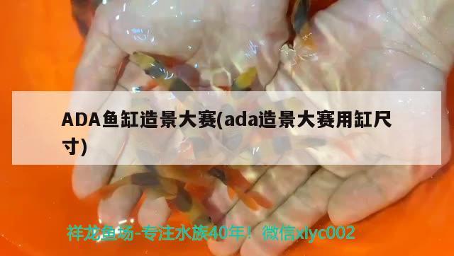 60厘米的銀龍魚(yú)多少錢(70厘米銀龍魚(yú)價(jià)格)