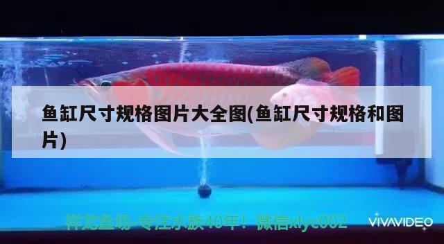 魚缸處理糞便（魚缸便便怎么自動處理） 水族用品 第1張