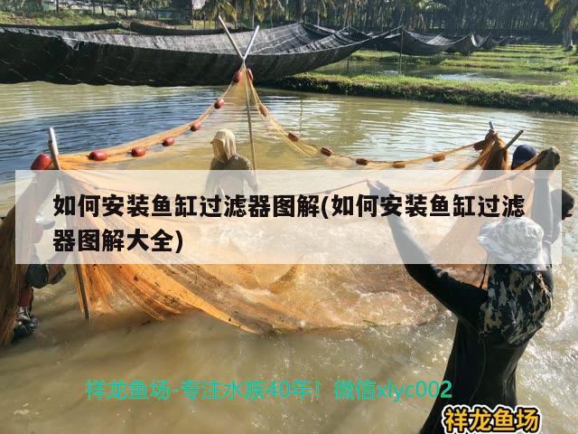 如何安裝魚缸過濾器圖解(如何安裝魚缸過濾器圖解大全) 魚缸等水族設(shè)備