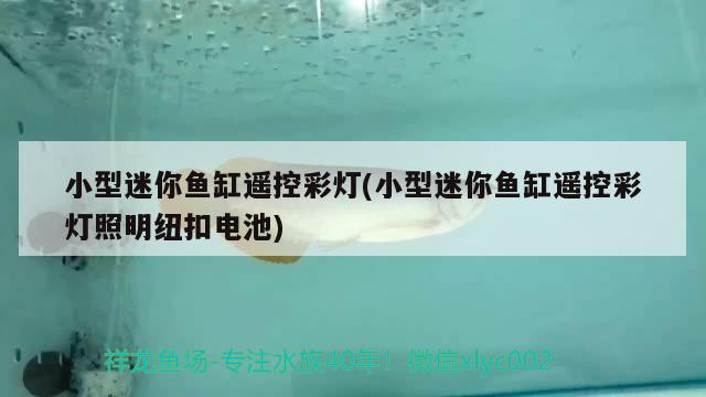 小型迷你魚缸遙控彩燈(小型迷你魚缸遙控彩燈照明紐扣電池) 狗仔招財(cái)貓魚