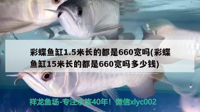 彩蝶魚缸1.5米長的都是660寬嗎(彩蝶魚缸15米長的都是660寬嗎多少錢) 申古銀版魚