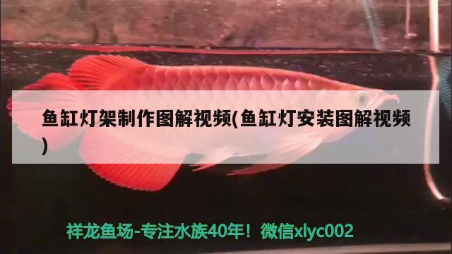 魚缸燈架制作圖解視頻(魚缸燈安裝圖解視頻)