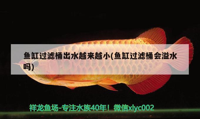 魚(yú)缸過(guò)濾桶出水越來(lái)越小(魚(yú)缸過(guò)濾桶會(huì)溢水嗎)