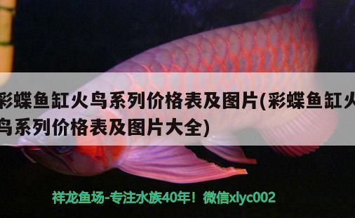 彩蝶魚缸火鳥系列價格表及圖片(彩蝶魚缸火鳥系列價格表及圖片大全) 泰國雪鯽魚