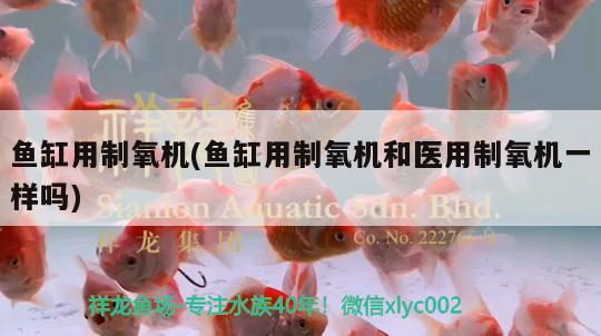 魚缸用制氧機(魚缸用制氧機和醫(yī)用制氧機一樣嗎)