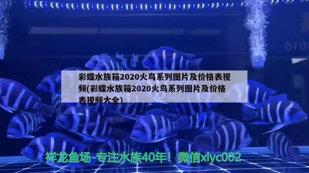 彩蝶水族箱2020火鳥系列圖片及價(jià)格表視頻(彩蝶水族箱2020火鳥系列圖片及價(jià)格表視頻大全) 魚缸/水族箱