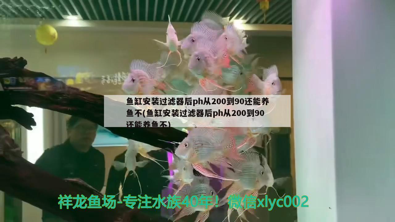 魚(yú)缸安裝過(guò)濾器后ph從200到90還能養(yǎng)魚(yú)不(魚(yú)缸安裝過(guò)濾器后ph從200到90還能養(yǎng)魚(yú)不) 短身紅龍魚(yú)