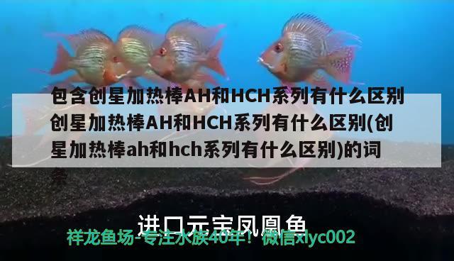 包含創(chuàng)星加熱棒AH和HCH系列有什么區(qū)別創(chuàng)星加熱棒AH和HCH系列有什么區(qū)別(創(chuàng)星加熱棒ah和hch系列有什么區(qū)別)的詞條