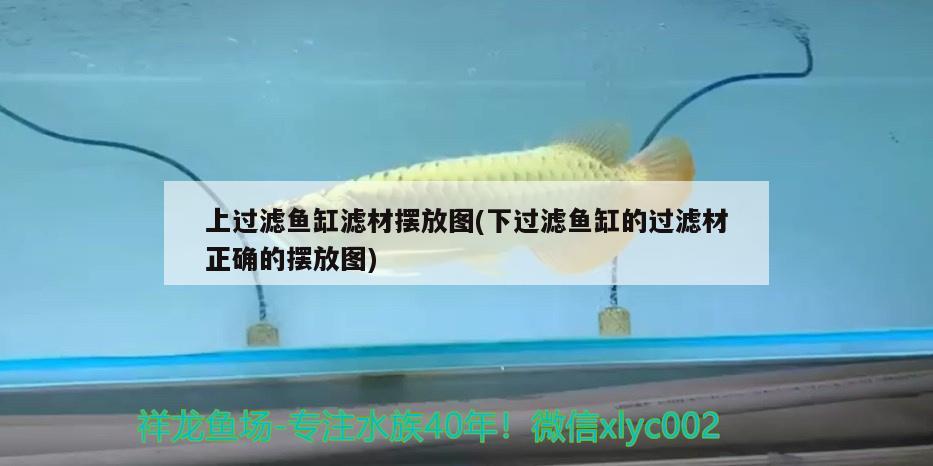 宣城魚缸定做店在哪里有賣(宣城哪里有賣魚缸的)