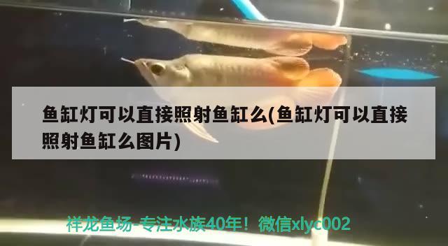 魚缸燈可以直接照射魚缸么(魚缸燈可以直接照射魚缸么圖片) 魚缸風(fēng)水