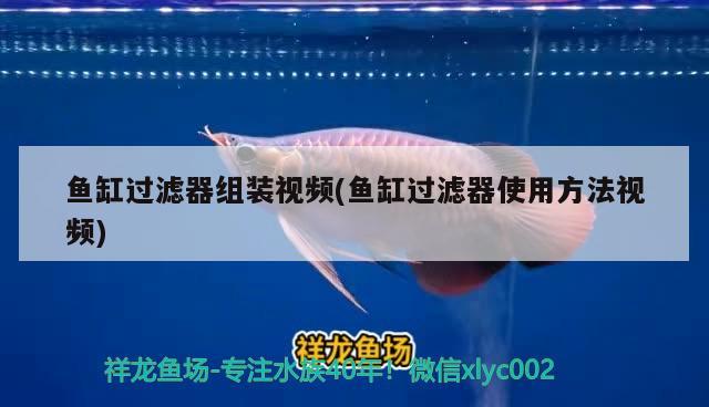 魚缸過濾器組裝視頻(魚缸過濾器使用方法視頻)