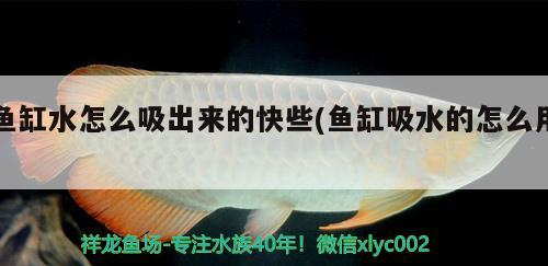 魚(yú)缸水怎么吸出來(lái)的快些(魚(yú)缸吸水的怎么用) 白子銀版魚(yú)