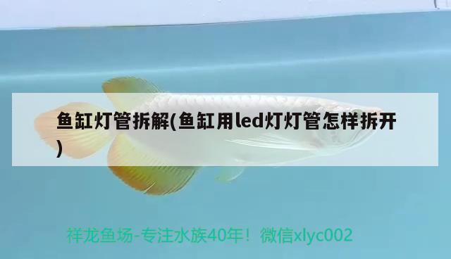 魚缸燈管拆解(魚缸用led燈燈管怎樣拆開) 魚缸凈水劑