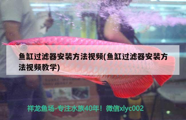 魚缸過濾器安裝方法視頻(魚缸過濾器安裝方法視頻教學(xué))