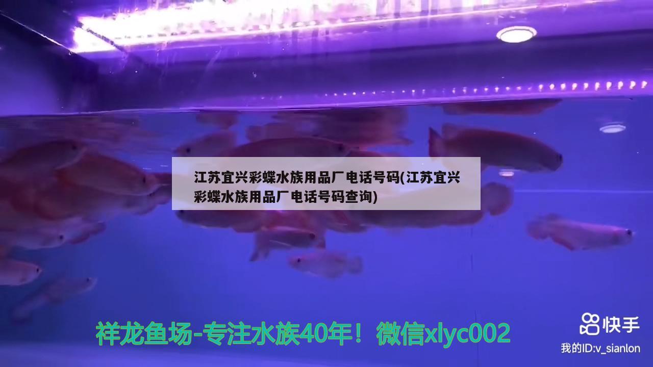 彩蝶魚缸溢流區(qū)用不用放濾材清洗劑(彩蝶魚缸溢流區(qū)用不用放濾材清洗劑) 潛水泵