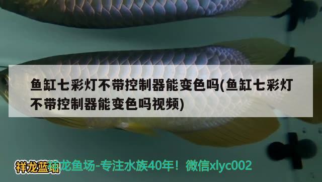 魚缸七彩燈不帶控制器能變色嗎(魚缸七彩燈不帶控制器能變色嗎視頻) 潛水泵