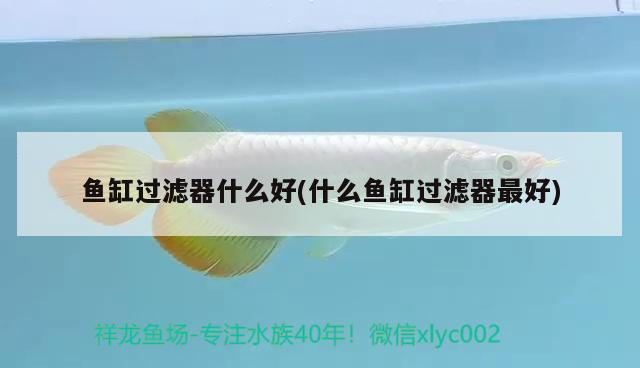 魚缸過濾器什么好(什么魚缸過濾器最好)