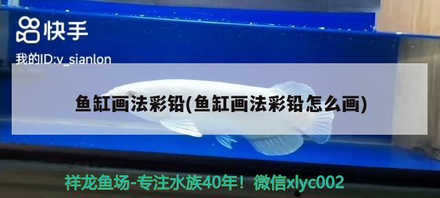 龍魚混養(yǎng)龍魚能繁殖嗎：龍魚混養(yǎng)風(fēng)水說法 魚缸風(fēng)水 第1張