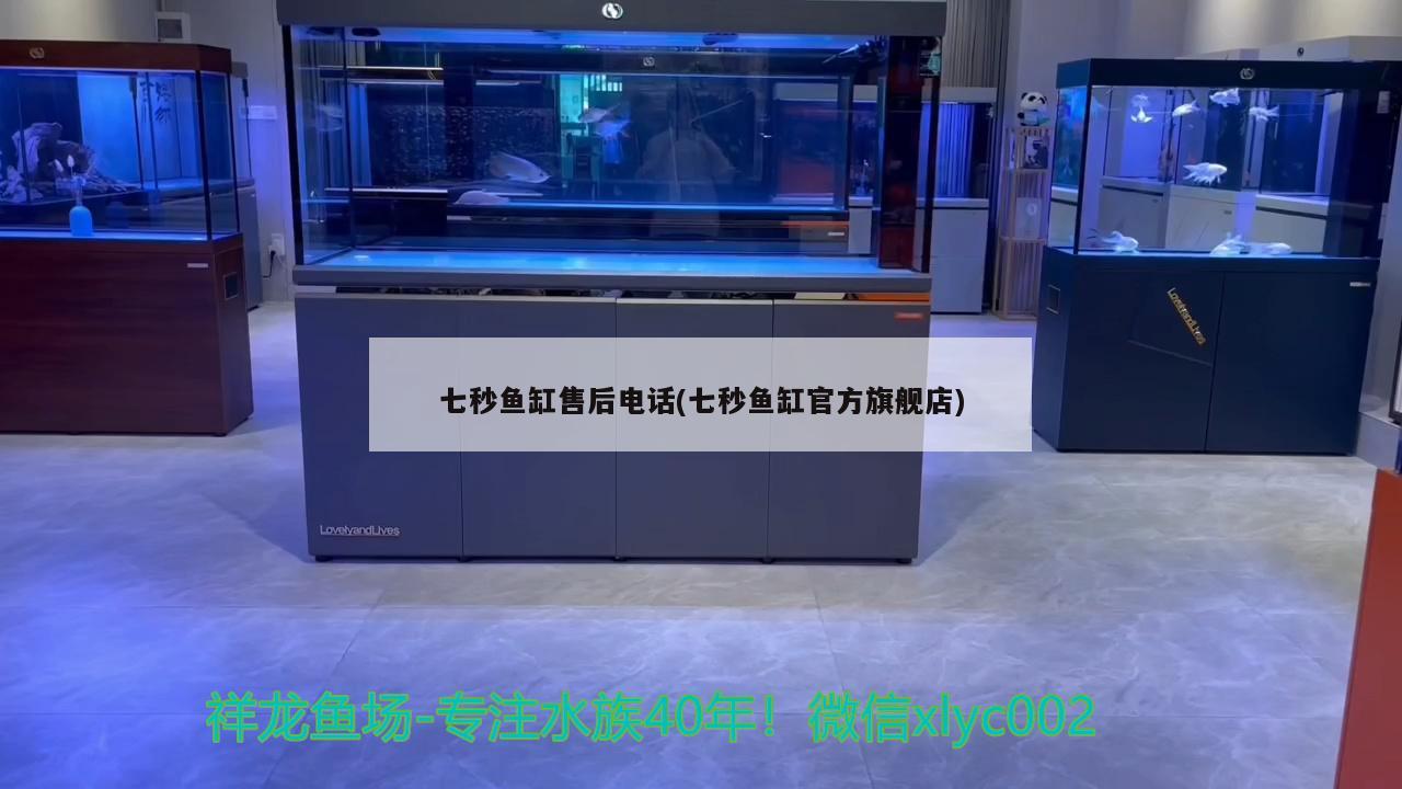 七秒魚缸售后電話(七秒魚缸官方旗艦店) 印尼四紋虎