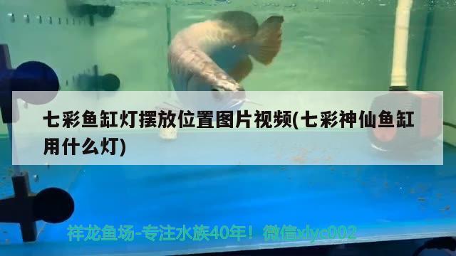 粘魚缸專用膠在水里能干嗎(粘魚缸的膠對人體有害嗎)