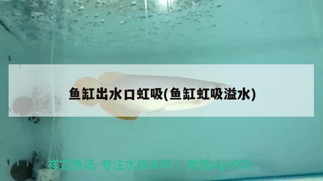 淄博哪里有水族館?（萊蕪水族館有哪些） 蝴蝶鯉 第2張