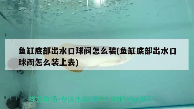 魚缸底部出水口球閥怎么裝(魚缸底部出水口球閥怎么裝上去)