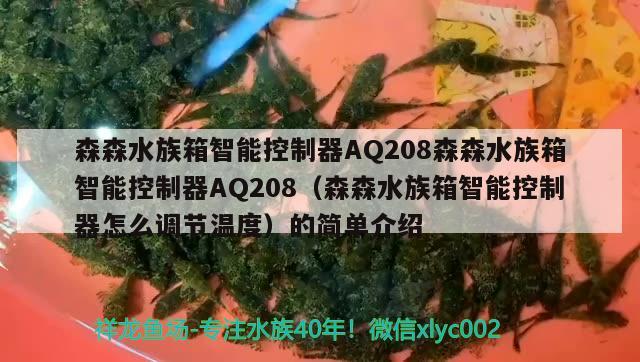 森森水族箱智能控制器AQ208森森水族箱智能控制器AQ208（森森水族箱智能控制器怎么調(diào)節(jié)溫度）的簡單介紹 魚缸/水族箱