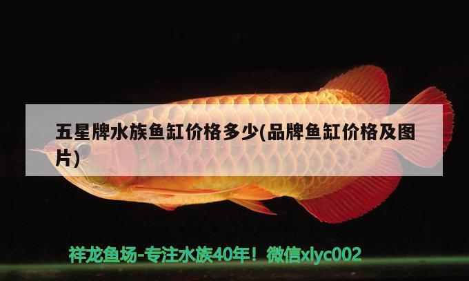 五星牌水族魚缸價(jià)格多少(品牌魚缸價(jià)格及圖片) 溫控設(shè)備