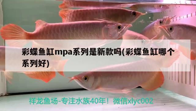 彩蝶魚(yú)缸mpa系列是新款嗎(彩蝶魚(yú)缸哪個(gè)系列好)