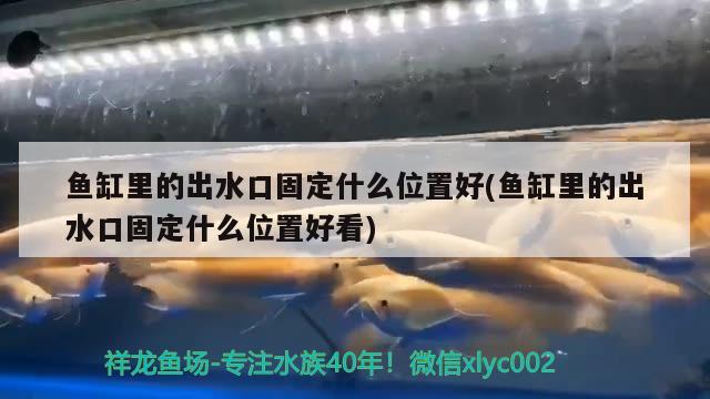 魚缸里的出水口固定什么位置好(魚缸里的出水口固定什么位置好看) 二氧化碳設(shè)備