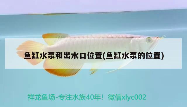 魚缸水泵和出水口位置(魚缸水泵的位置)