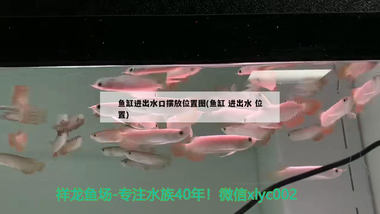 魚缸進(jìn)出水口擺放位置圖(魚缸進(jìn)出水位置) 水族燈（魚缸燈）