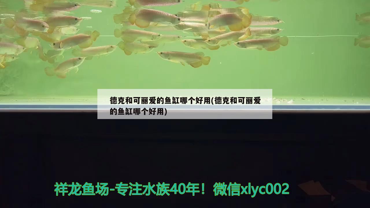 德克和可麗愛的魚缸哪個好用(德克和可麗愛的魚缸哪個好用)