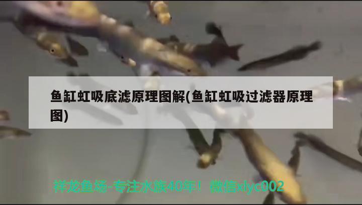 木工魚缸柜子圖片：實(shí)木魚缸柜子制作方法 觀賞魚市場 第1張