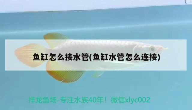 魚缸怎么接水管(魚缸水管怎么連接)