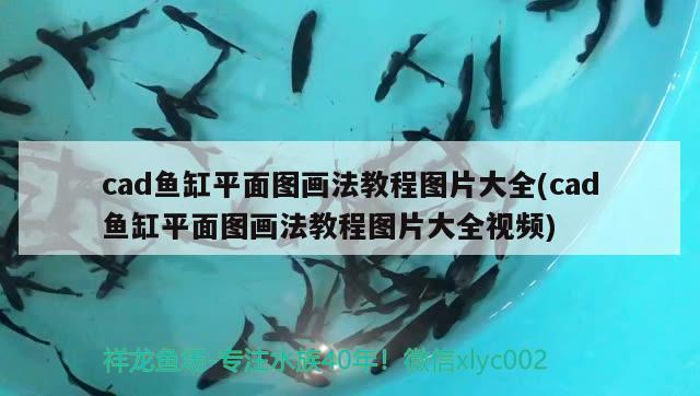 cad魚缸平面圖畫法教程圖片大全(cad魚缸平面圖畫法教程圖片大全視頻) 魚缸水泵