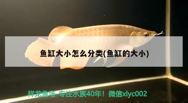 魚(yú)缸大小怎么分類(魚(yú)缸的大小) 水族品牌