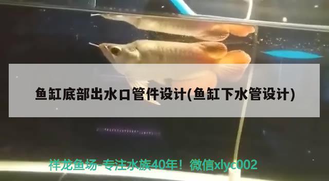 魚缸底部出水口管件設計(魚缸下水管設計) 印尼三紋虎