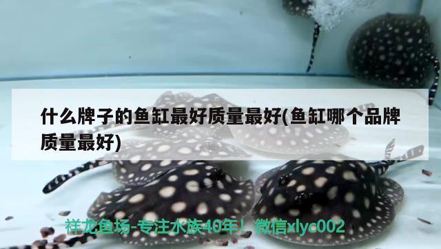 什么牌子的魚缸最好質(zhì)量最好(魚缸哪個品牌質(zhì)量最好)