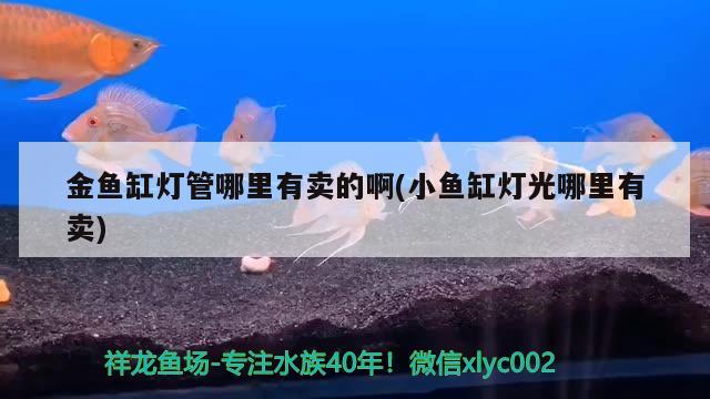 3米的魚缸耗電量（3米的魚缸耗電量多少） 魚缸百科 第2張